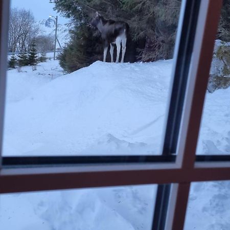 Sydalen House Villa Kleppstad Eksteriør bilde