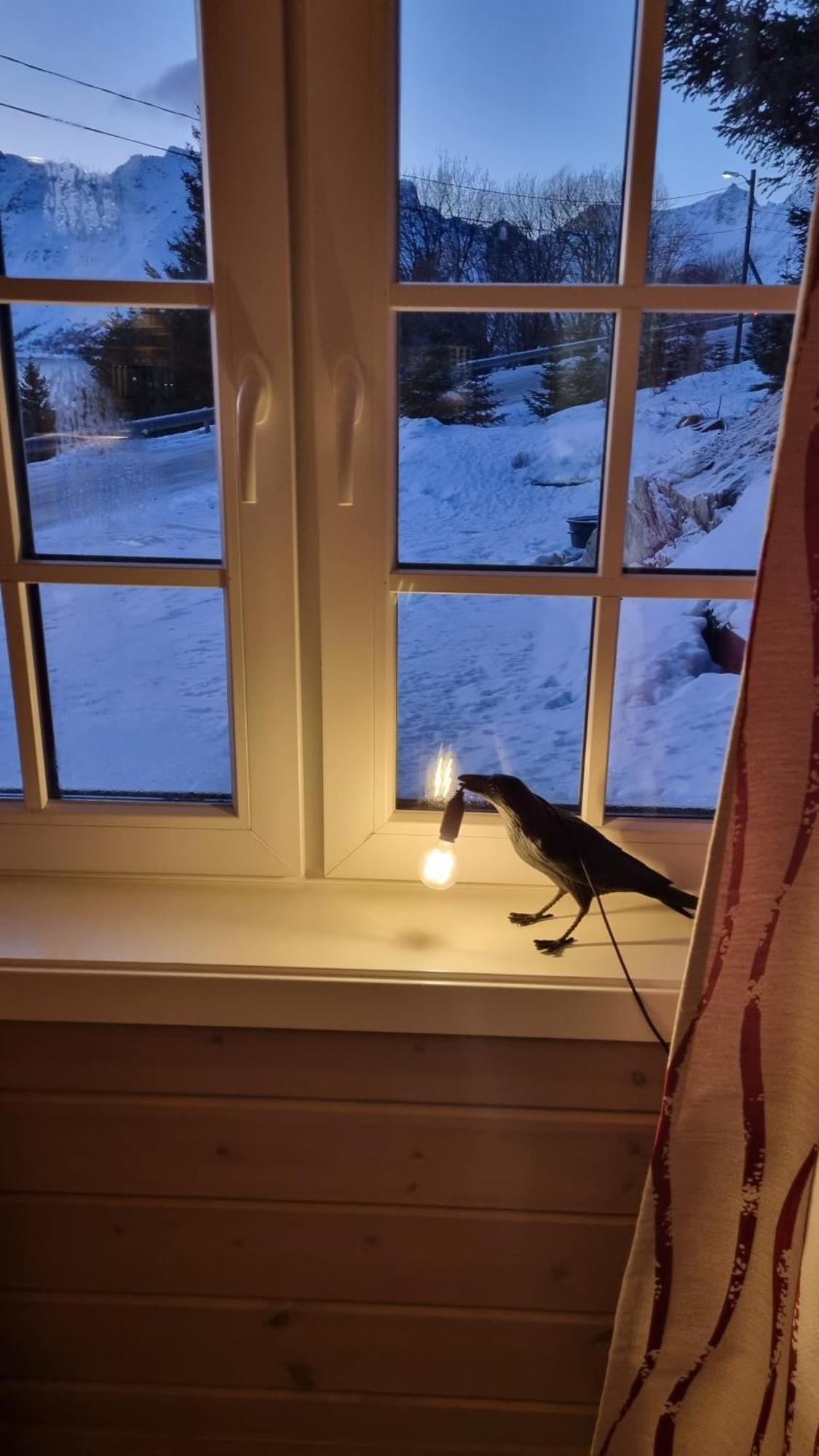 Sydalen House Villa Kleppstad Eksteriør bilde